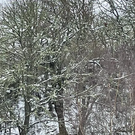 Casa de Férias Casa Do Terrado *