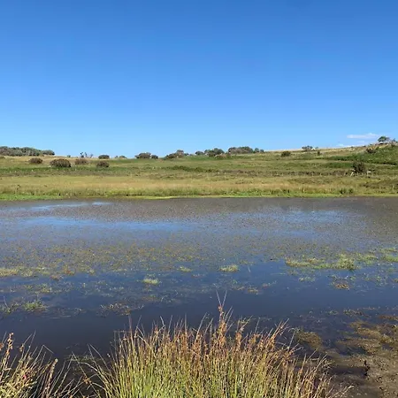 Casa Do Terrado Casa de Férias Tourem