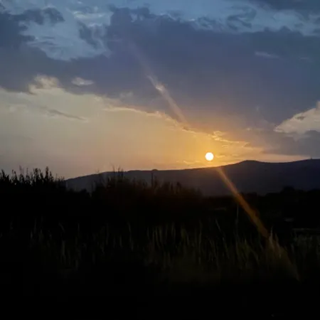 Casa Do Terrado * Tourem