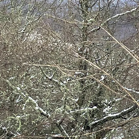 Casa Do Terrado Prázdninový dům