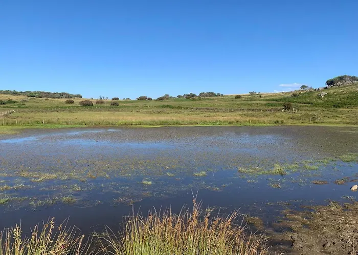 Casa Do Terrado Tourem