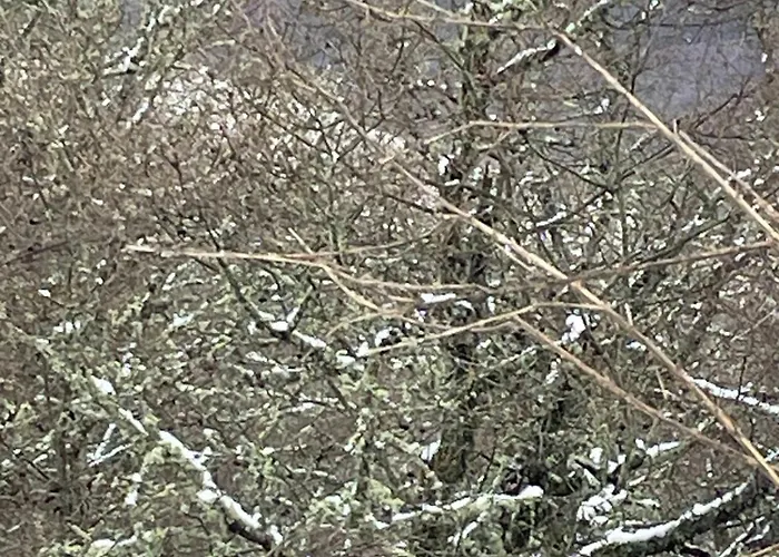 Casa Do Terrado Semesterbostad